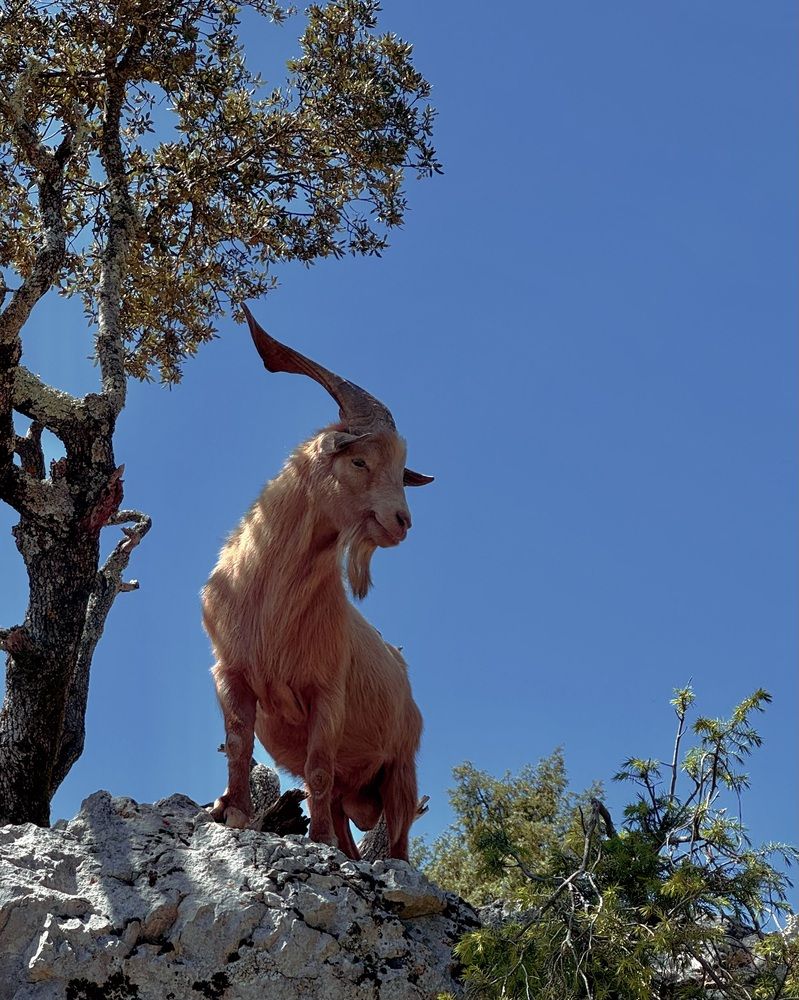 Photograph by Marina Odintsova