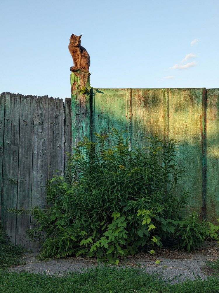 Photograph by Виталий Суслин