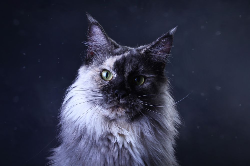 Photograph by Стрижаченко Инга