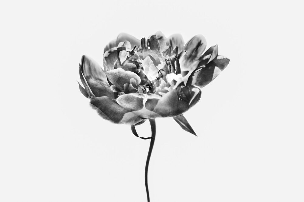 Photograph by Сергей Удовенко