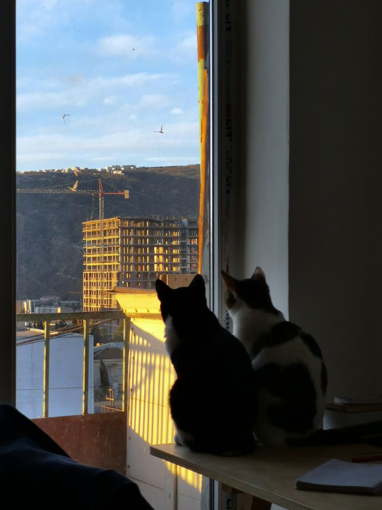 Photograph by Александр Ковальков