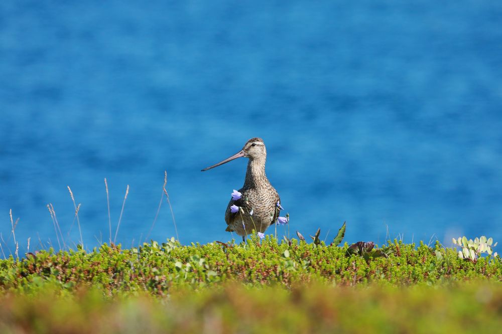 Photograph by Марина Александрова