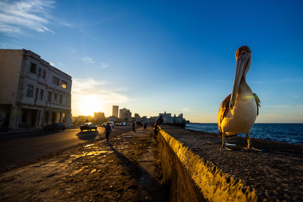 Photograph by Adrian Grigore