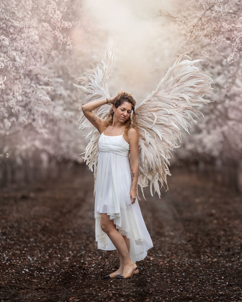 Photograph by Hamutal Avioz