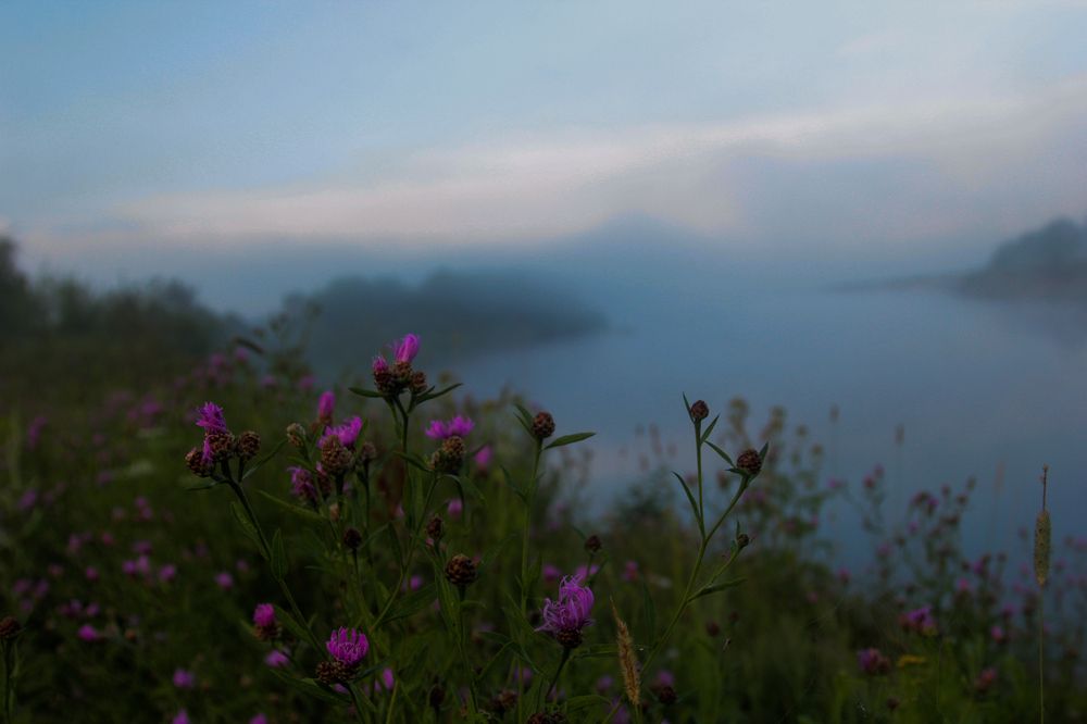 Photograph by Лидия Маркова