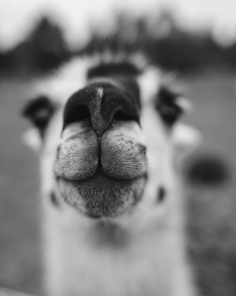 Photograph by Jurijs Rudzeiss