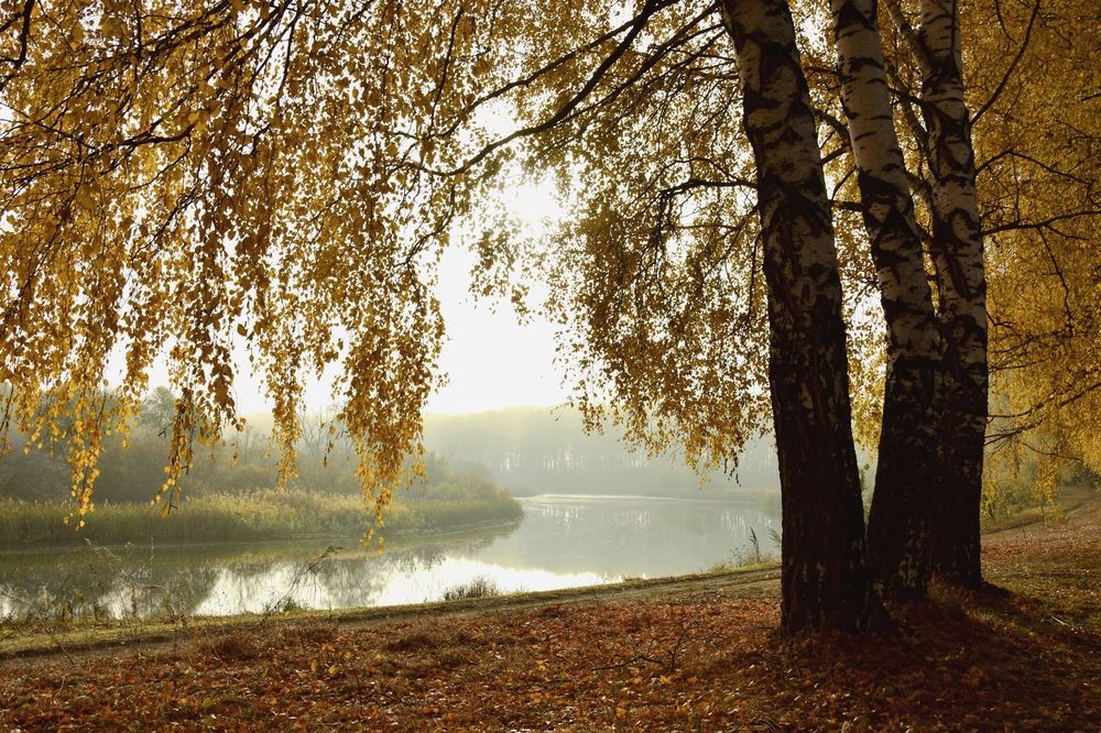 Photograph by Валерий Гудков