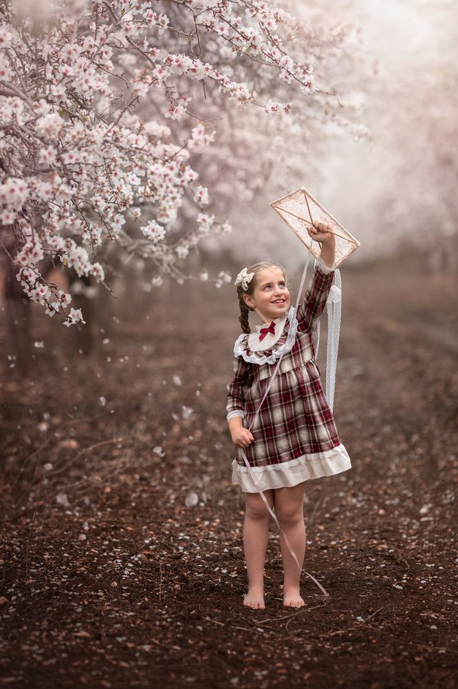 Photograph by Hamutal Avioz