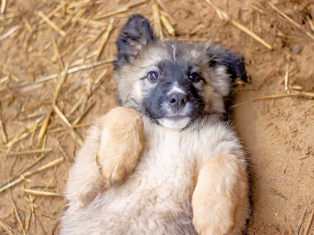 Photograph by Оксана Кудрявцева