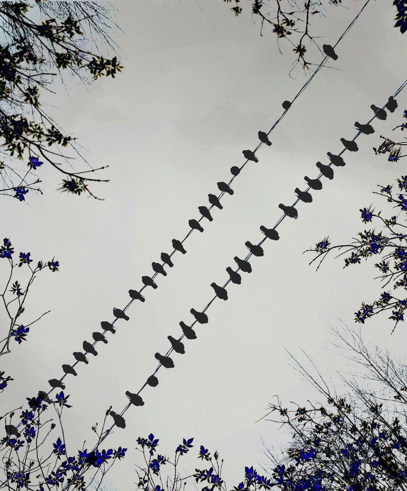 Photograph by Алеся Маклакова