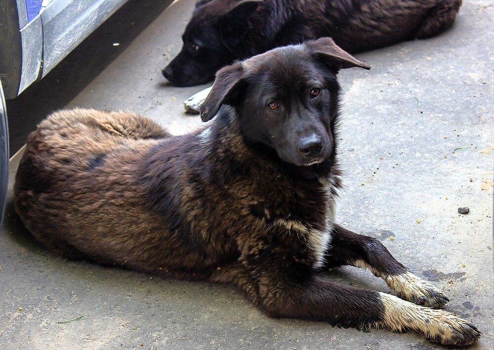 Photograph by Оксана Кудрявцева