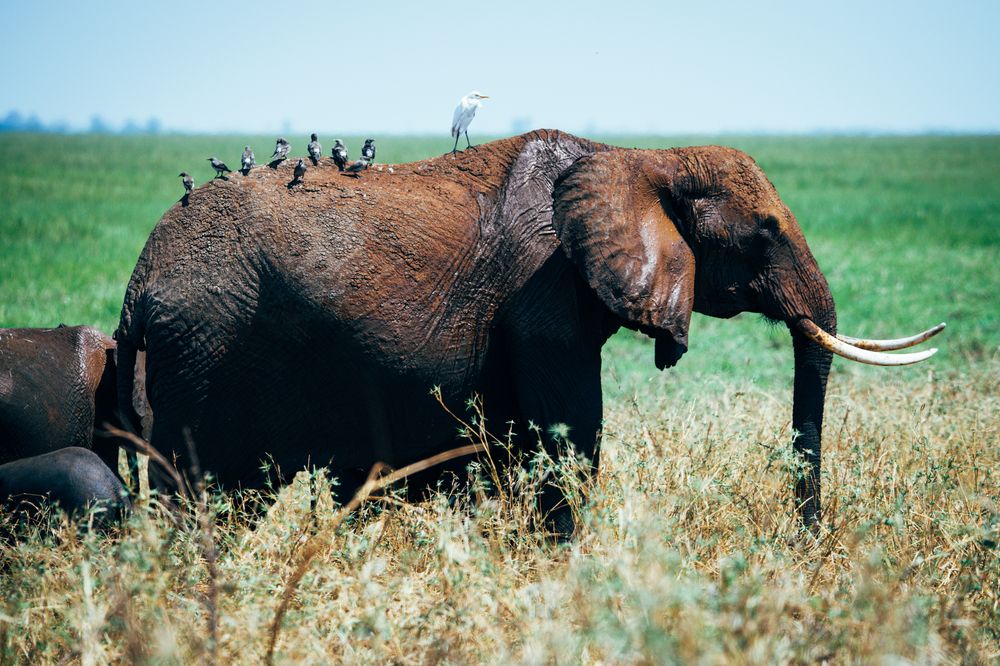 Photograph by Adrian Grigore