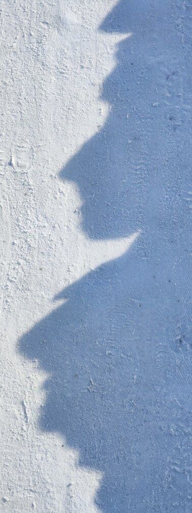 Photograph by Сергей Заподовников