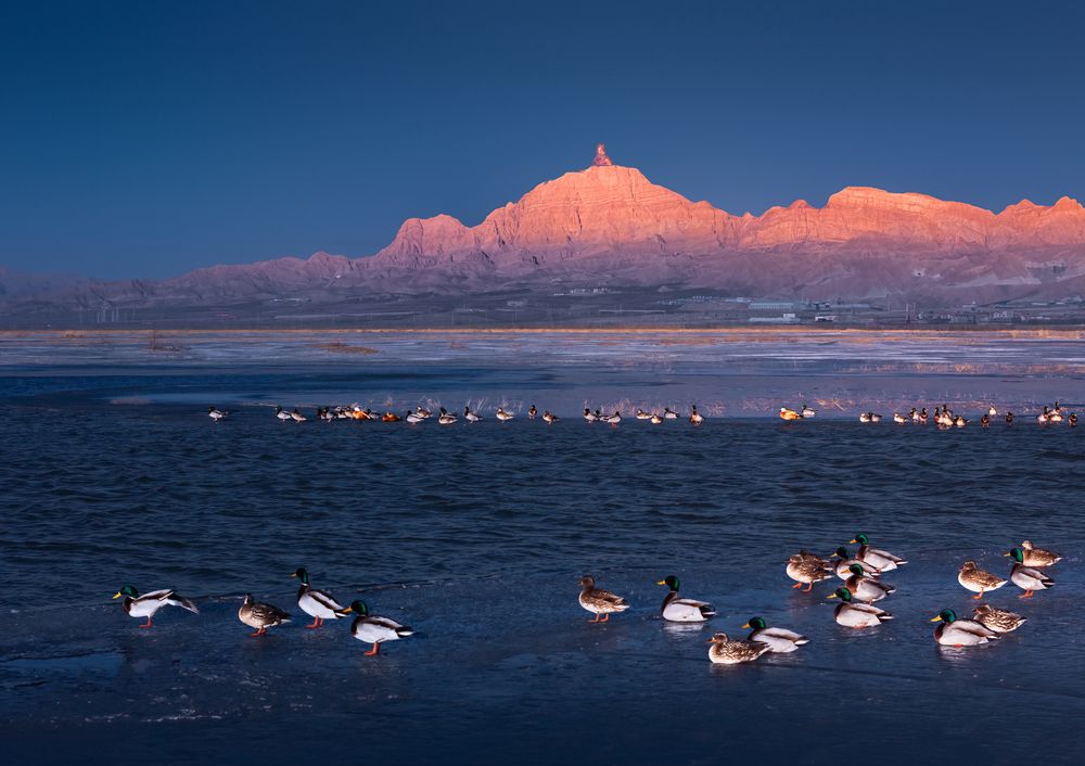 Photograph by 张鹏