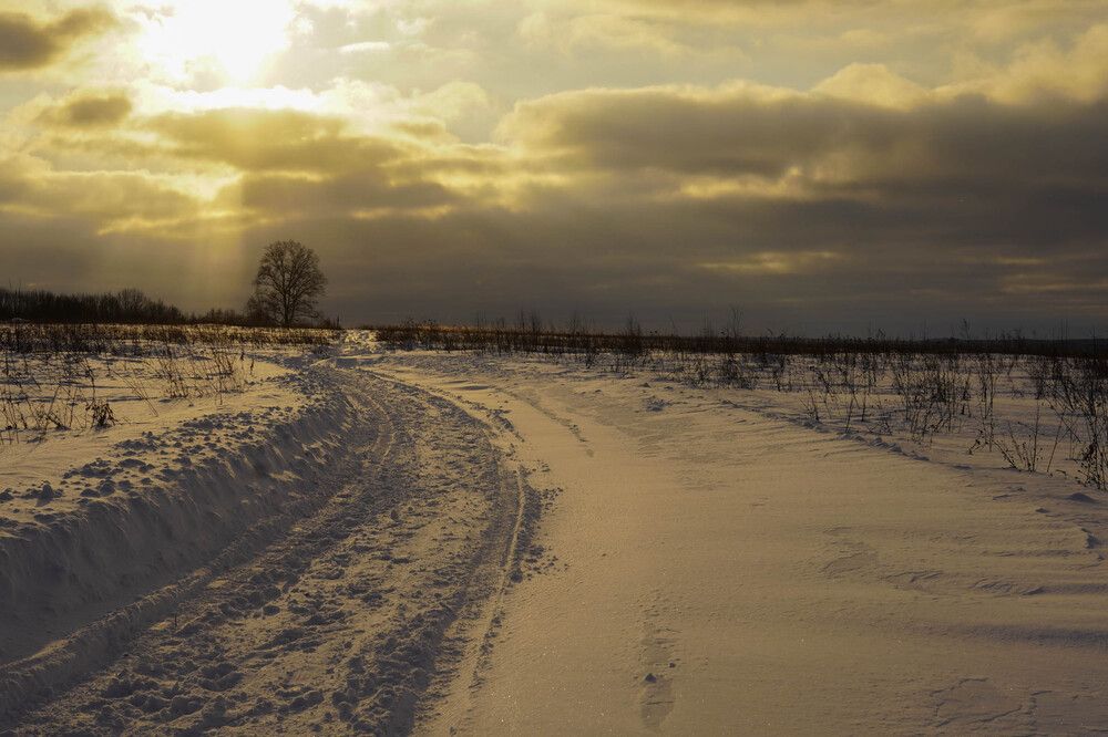 Photograph by Галина Андреева