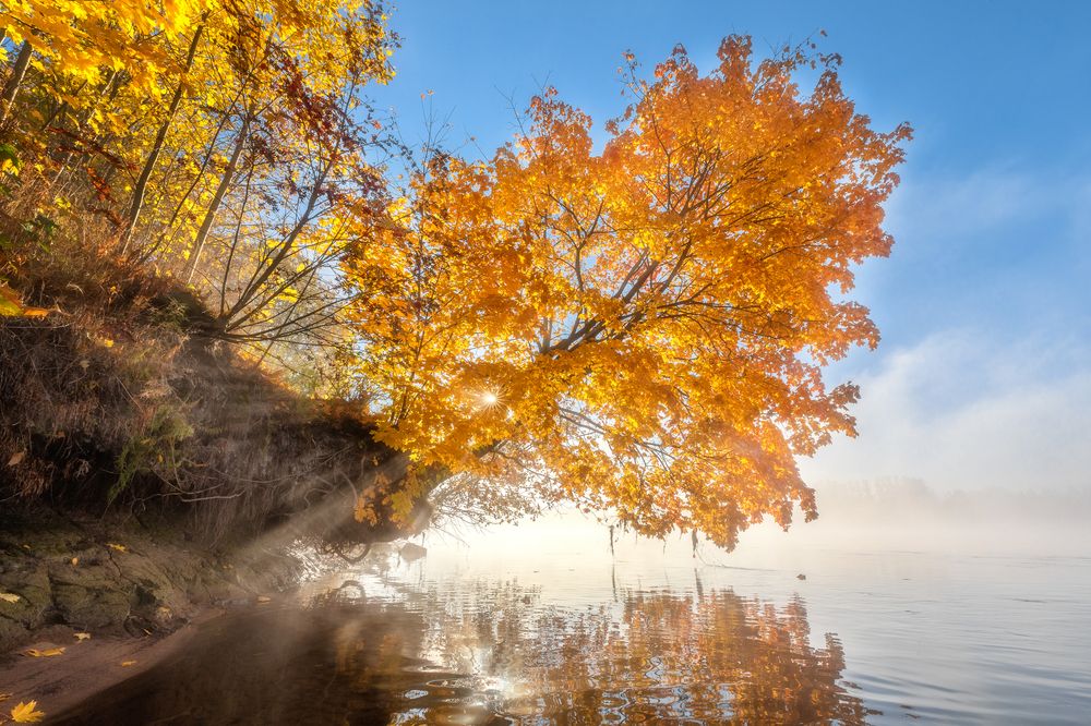 Фотография автора Alexander Pashenichev