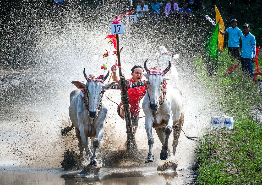 Photograph by Do Thi Thanh Binh