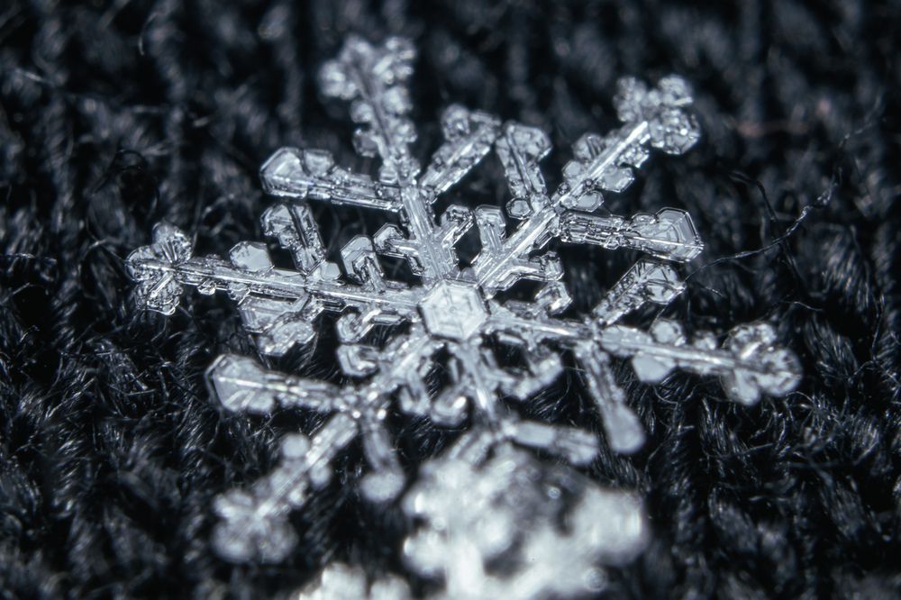 Photograph by Evgeny Vdovin