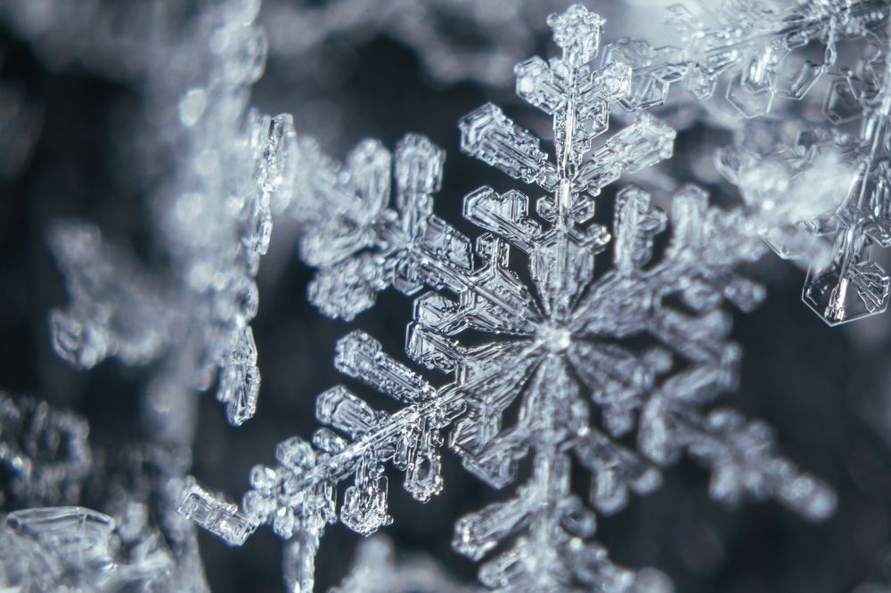 Photograph by Evgeny Vdovin