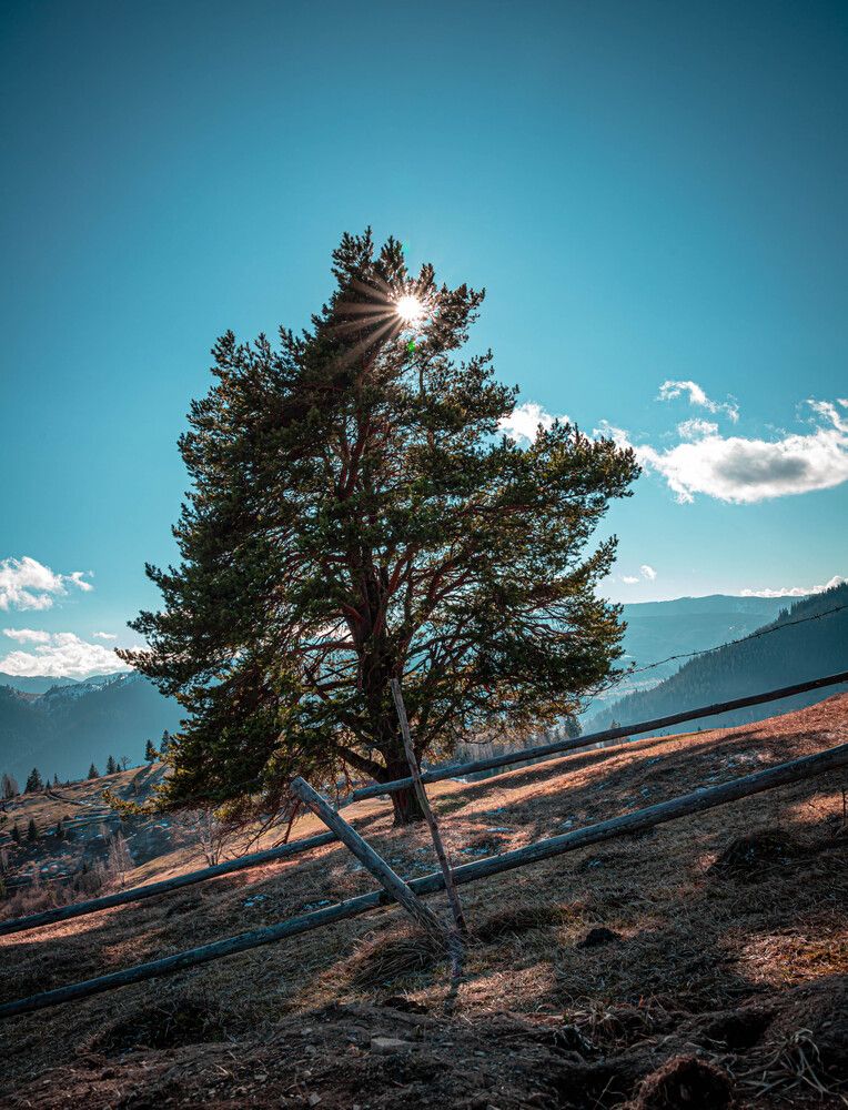 Photograph by Anton Balan