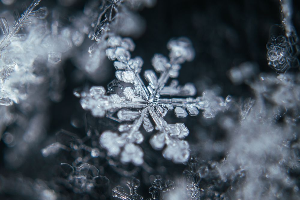 Photograph by Evgeny Vdovin