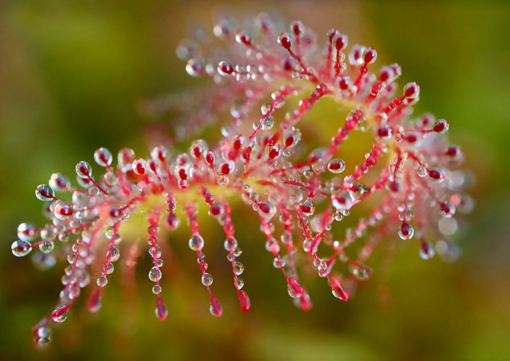 Photograph by Валерий Афанасьев