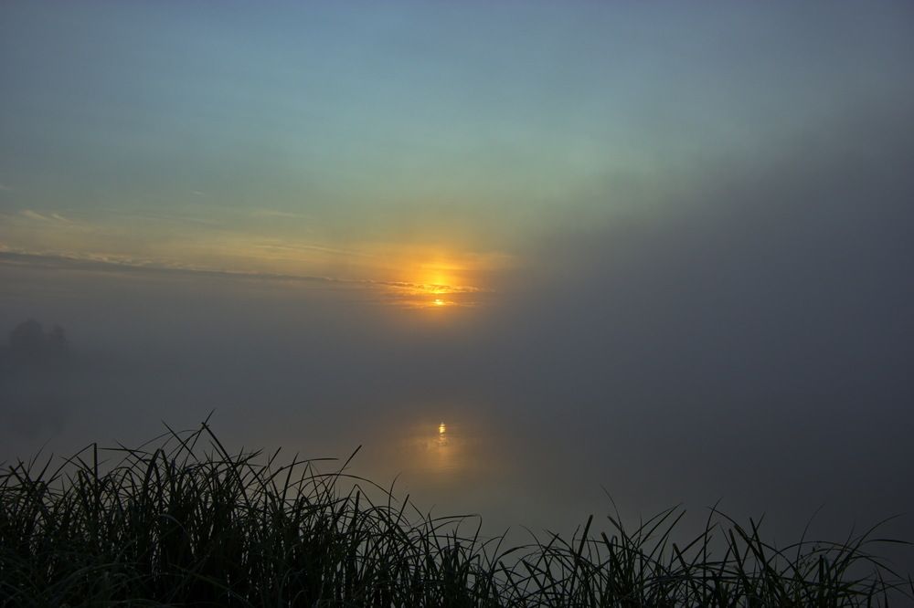 Туман над озером.