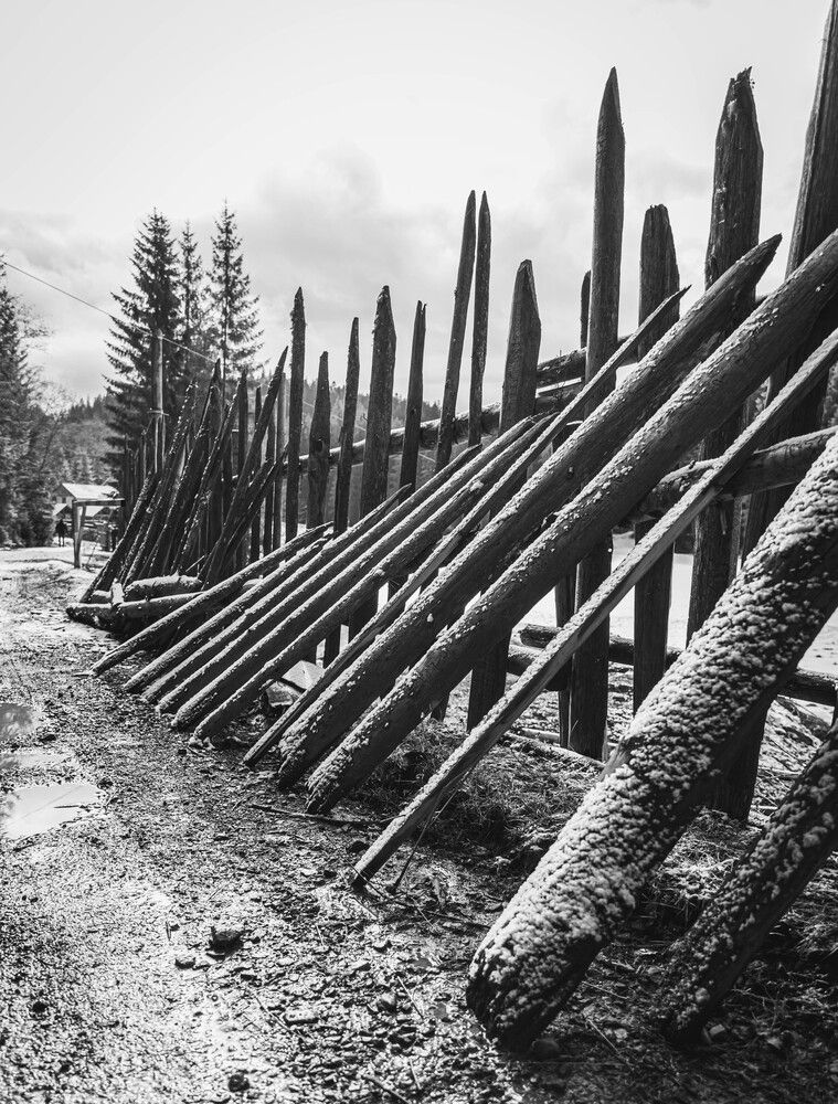 Photograph by Anton Balan