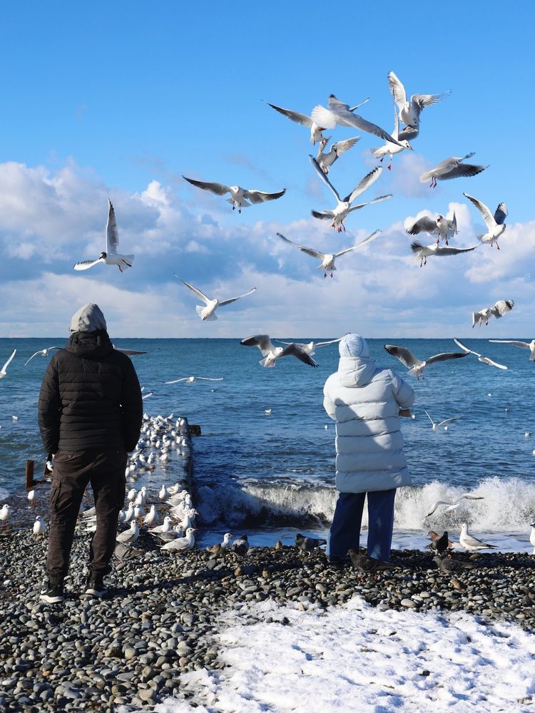 Photograph by Ольга Байгажакова