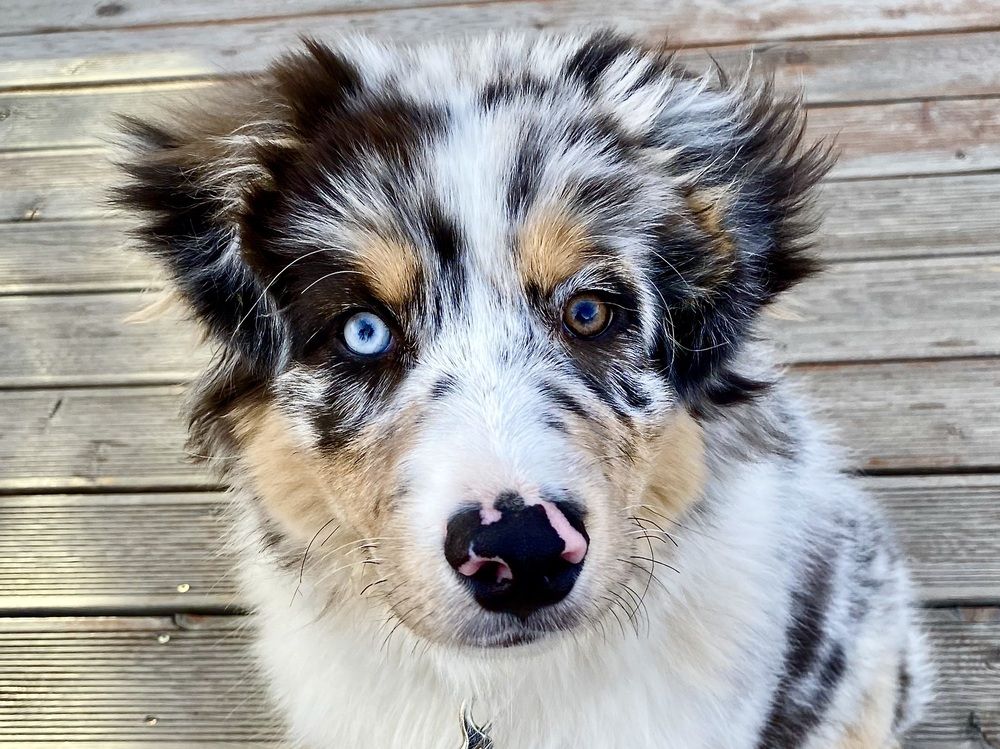 Photograph by Татьяна Шитлина