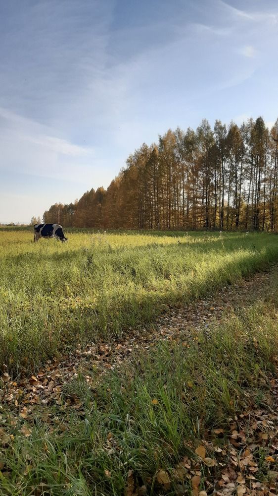 Photograph by Екатерина
