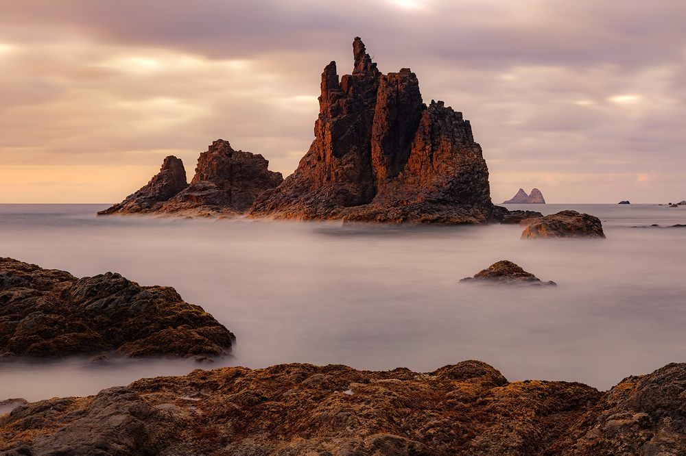 Photograph by Josue Friedrich