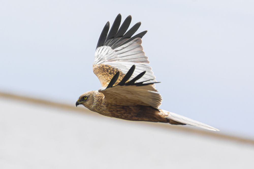 Photograph by Кирилл Савенко