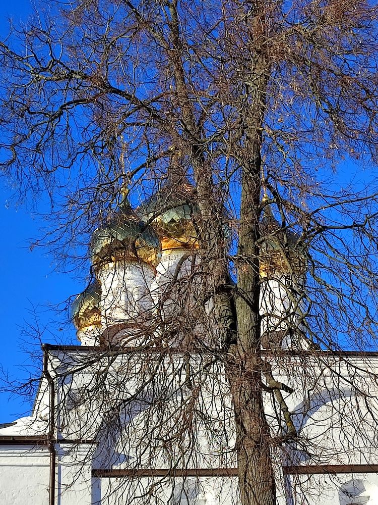 Photograph by Galina Novichkova