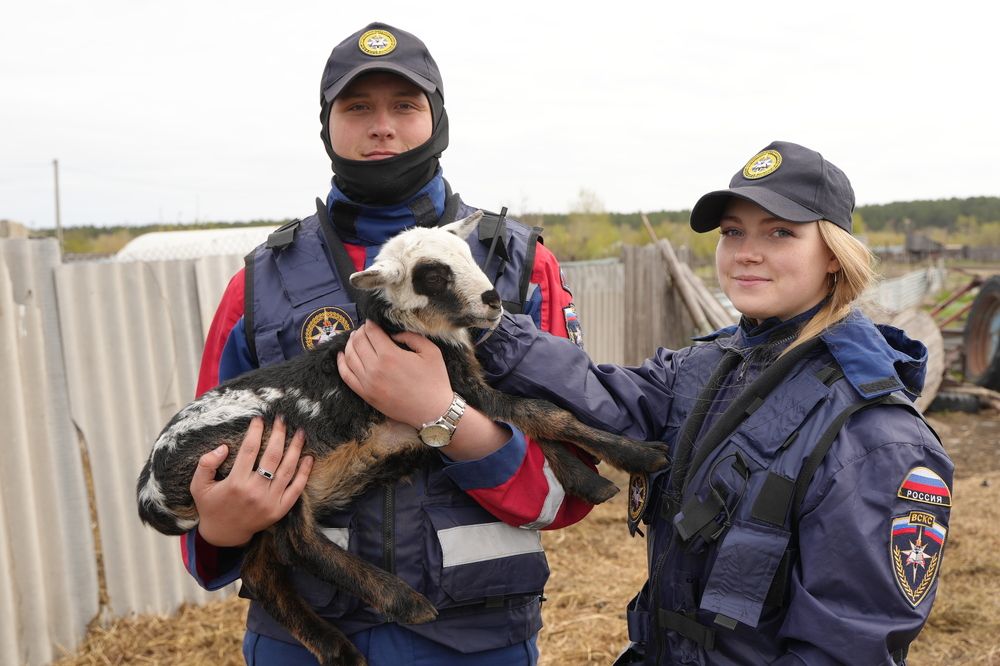 Добровольцы ВСКС помогают жителям села Утятское с домашним скотом