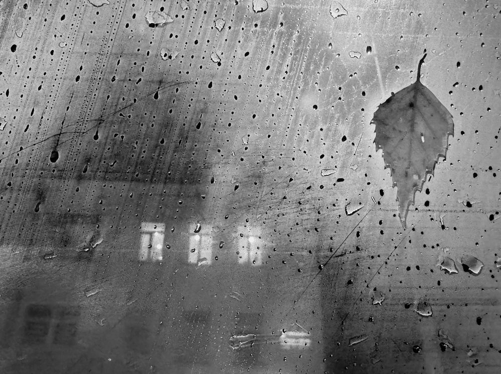 Photograph by Юлия Близнецова