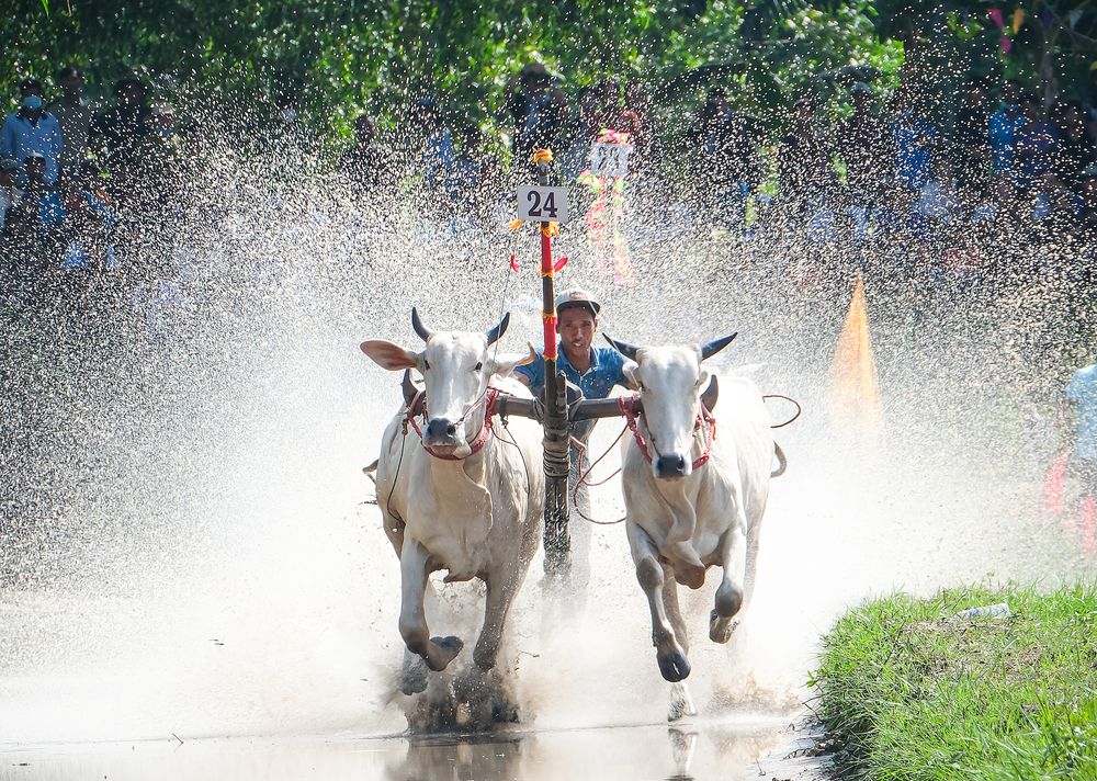Photograph by Do Thi Thanh Binh