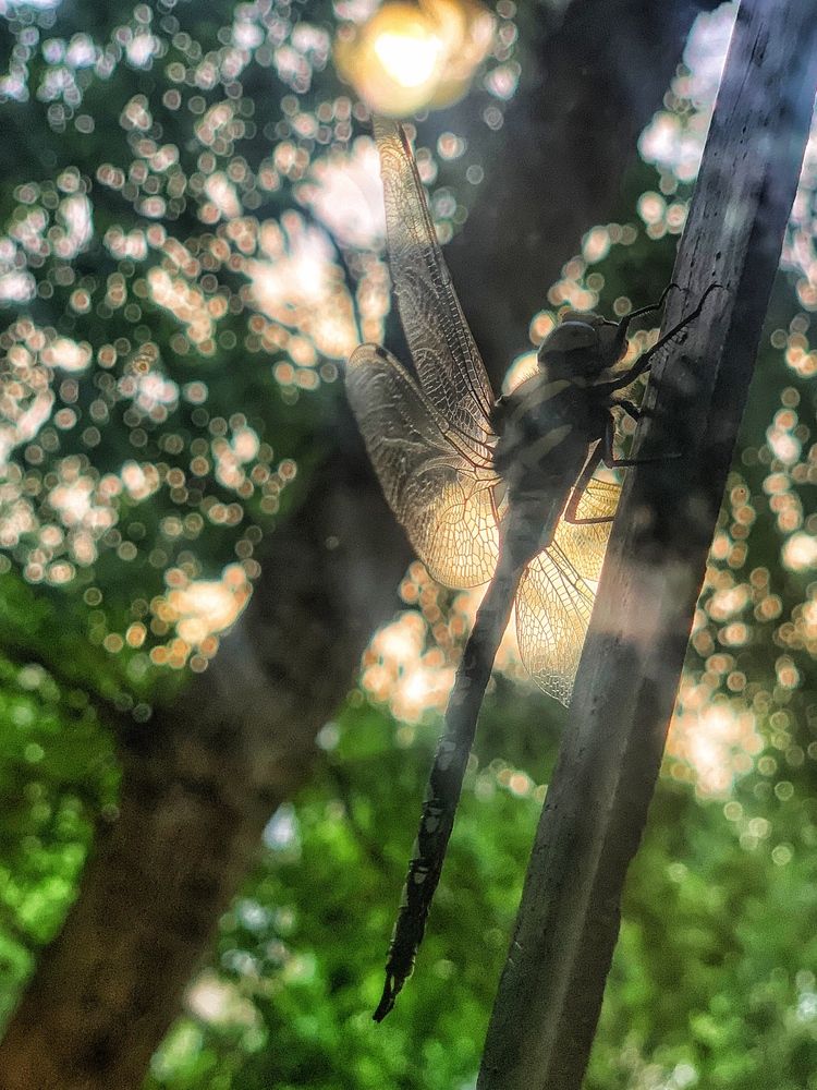 Photograph by константин грюканов