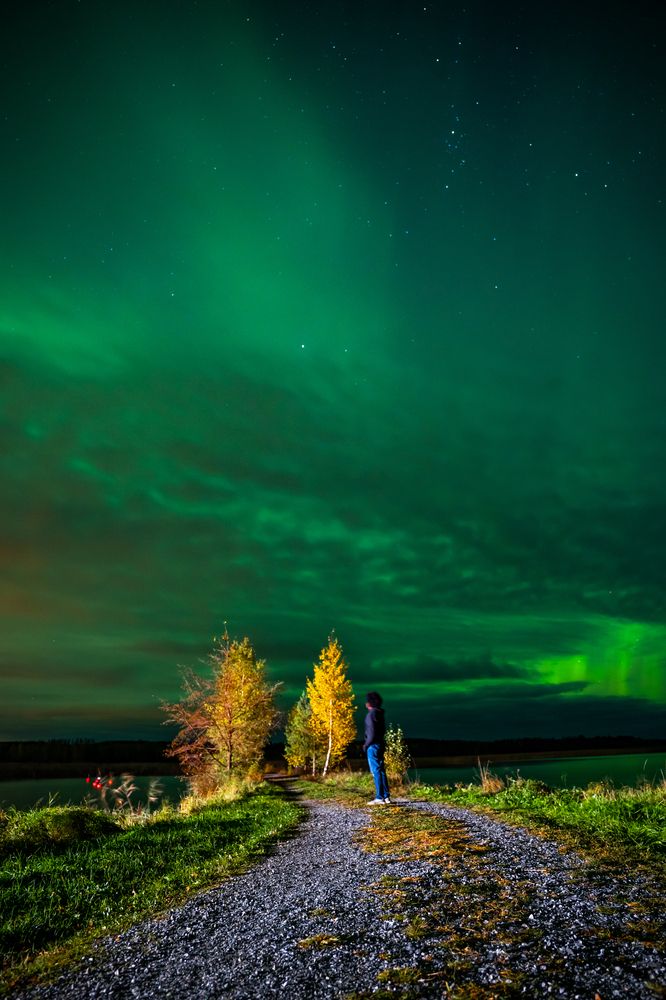 Blue Sky Painted by Green