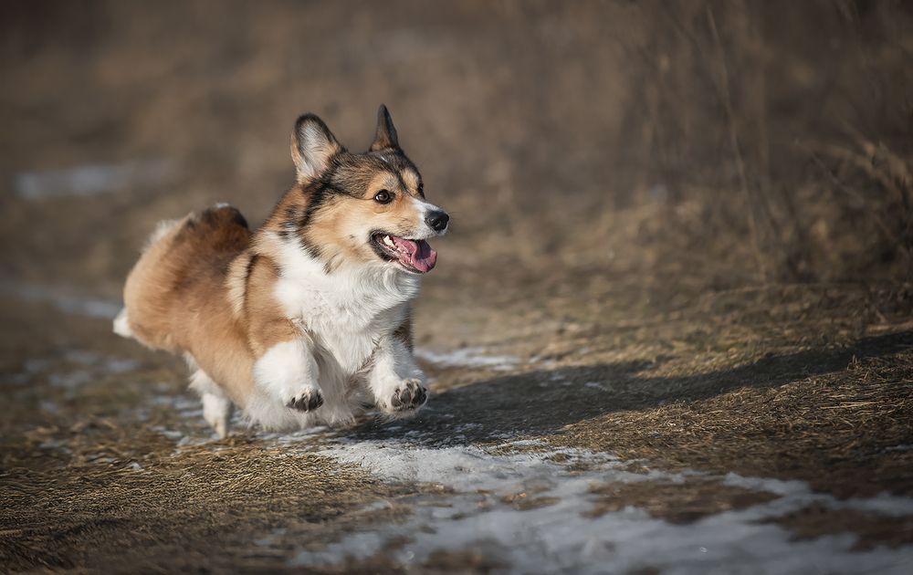 Photograph by Анна Орлова