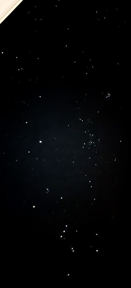 Photograph by Kim Natasha