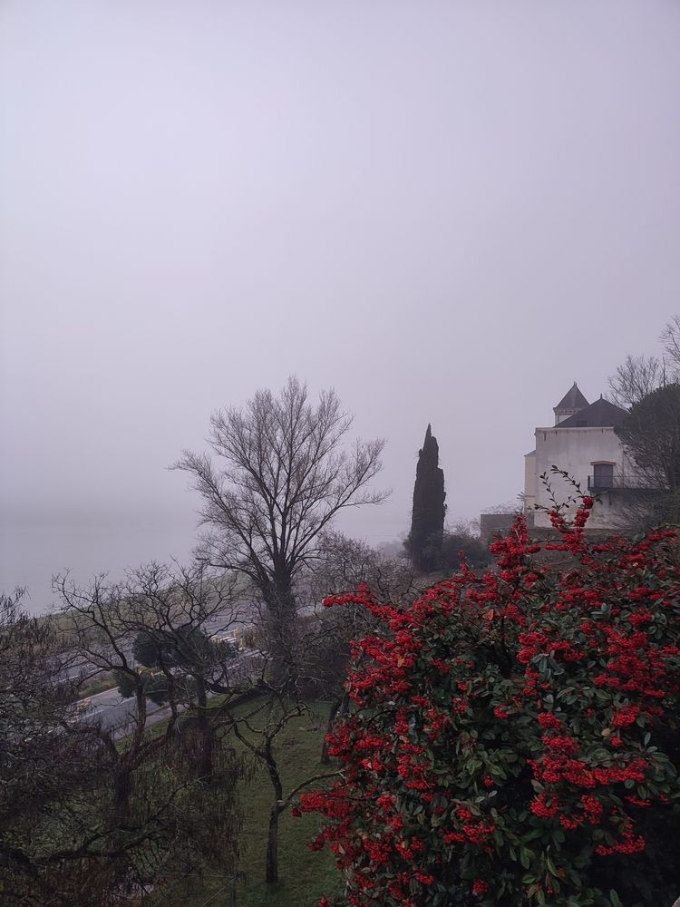 Photograph by Яна Левченко