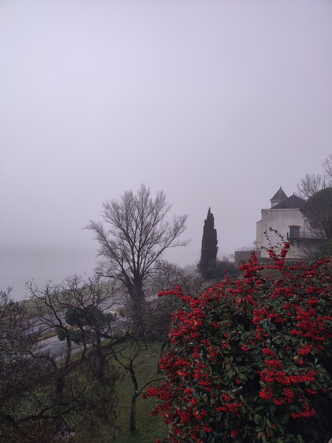 Photo #12032367