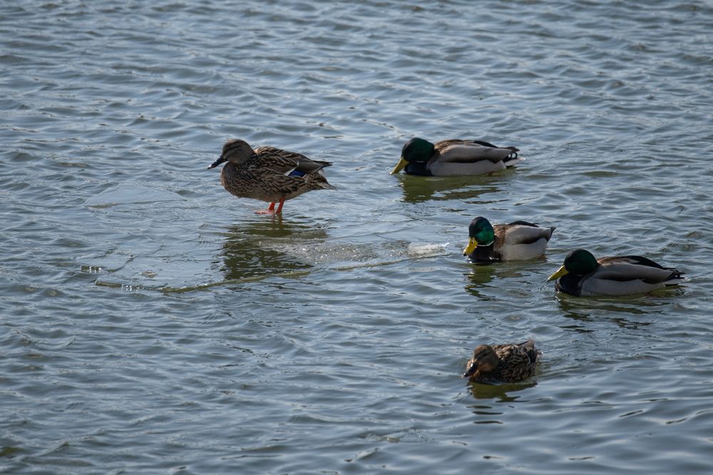 Photograph by Evgeny Vdovin