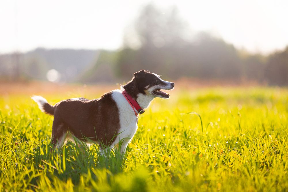 Photograph by Виолетта Бастет