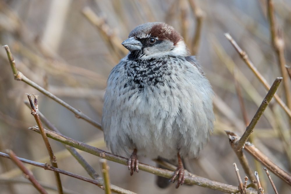 Photograph by Evgeny Vdovin