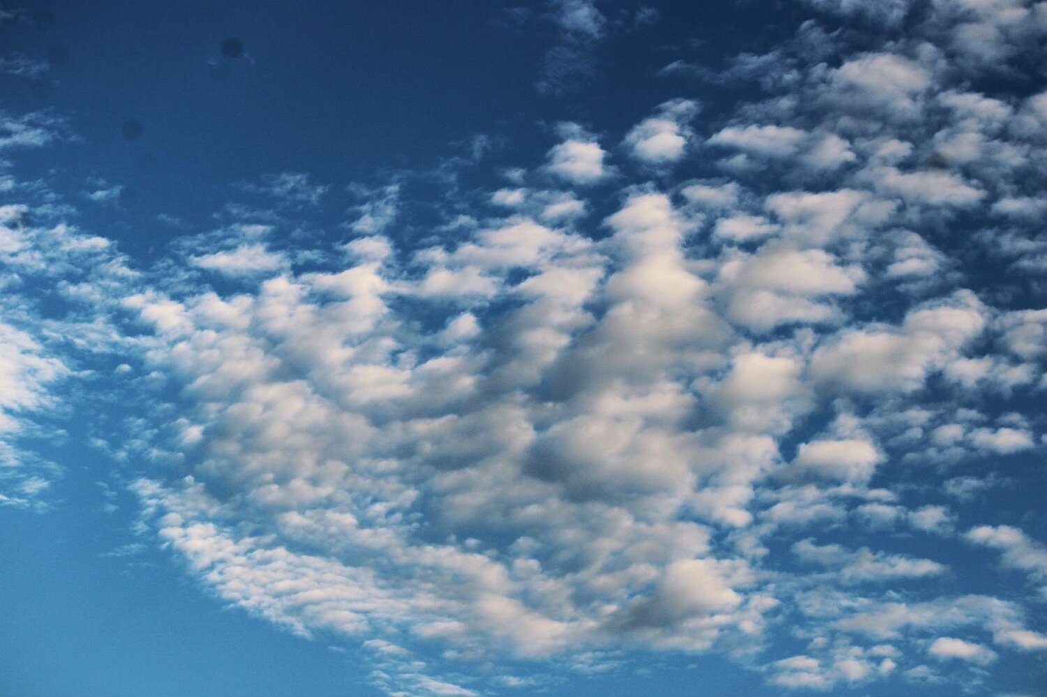 Photo #12032415
