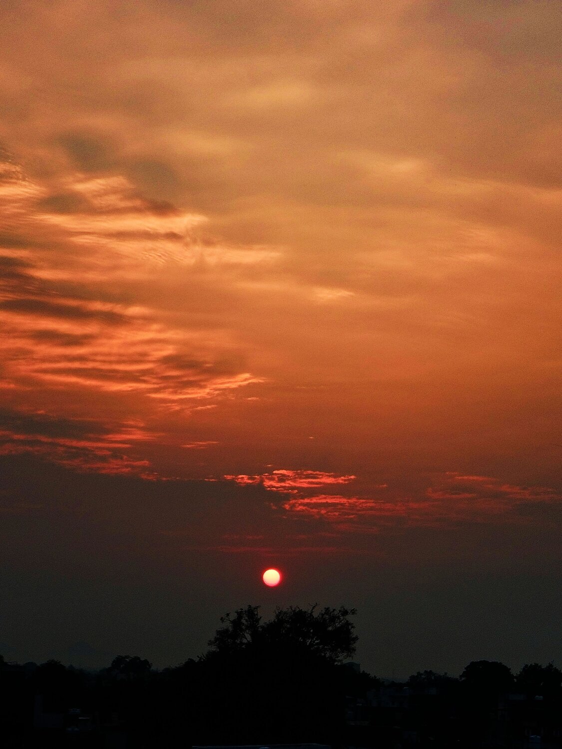 Photo #12032423