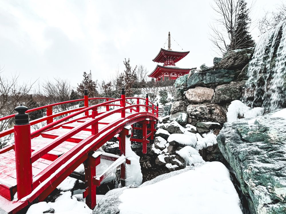 Photograph by Екатерина Шумилова