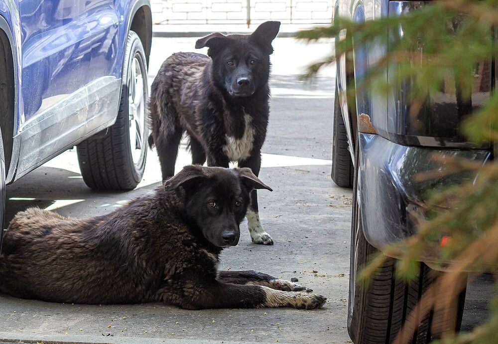 Photograph by Оксана Кудрявцева